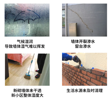 霉變的原因